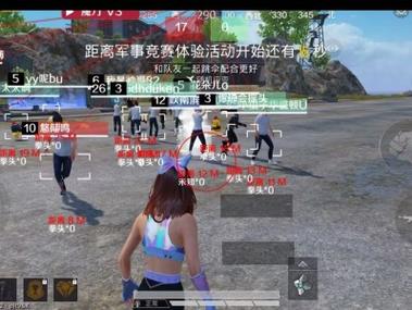 <strong>和平精英外挂警告</strong>